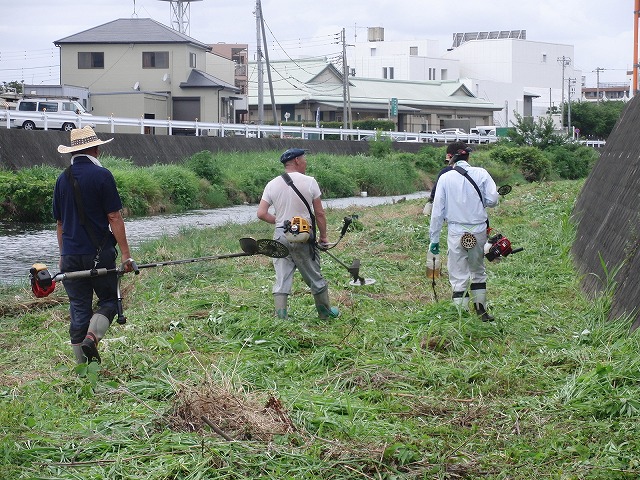 やっぱりヘビが出た!小潤井川の草刈り_f0141310_7252215.jpg