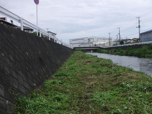 やっぱりヘビが出た!小潤井川の草刈り_f0141310_7263446.jpg