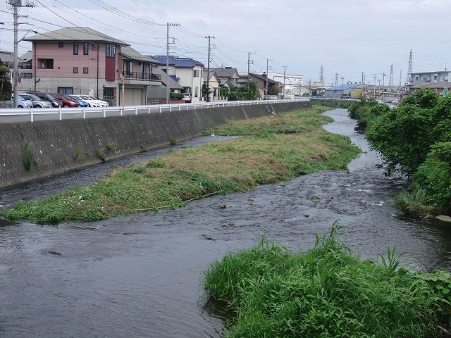 やっぱりヘビが出た!小潤井川の草刈り_f0141310_7274525.jpg