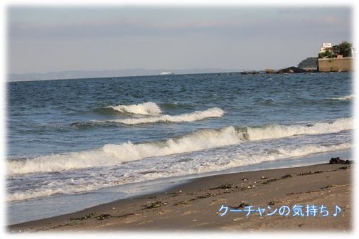 台風の後の海・・・_a0161111_2111834.jpg