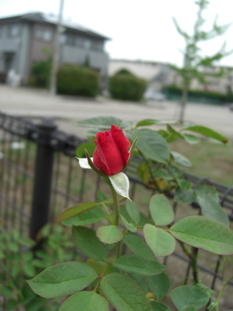f0226713_18361636.jpg