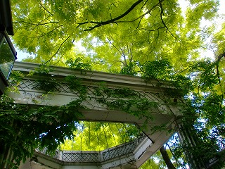 八ヶ岳ヒーリングツアー⑤_c0200917_14335763.jpg
