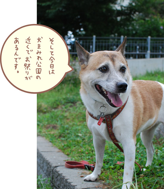 涼しい犬まみれ公園_d0212419_159641.jpg