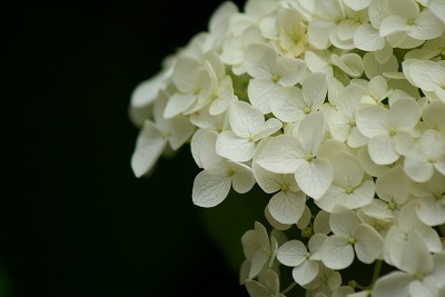 f0170524_14162833.jpg
