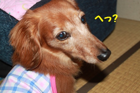 c0206342_12493385.jpg