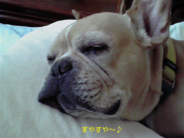 f0090344_11115218.jpg