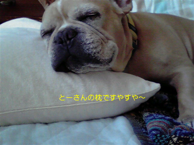 f0090344_11115239.jpg