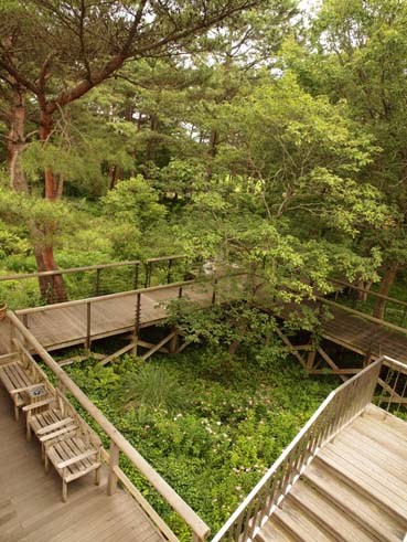 緑の中のハウス　　　　　　　　　　茨城県・ひたち海浜公園_d0149245_1910217.jpg