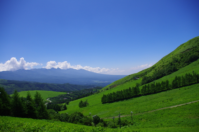 d0186245_22242659.jpg