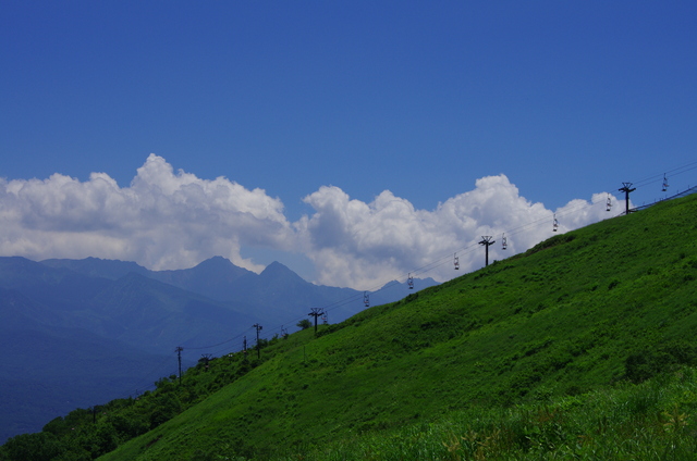 d0186245_2229241.jpg