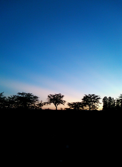 d0155148_22262039.jpg