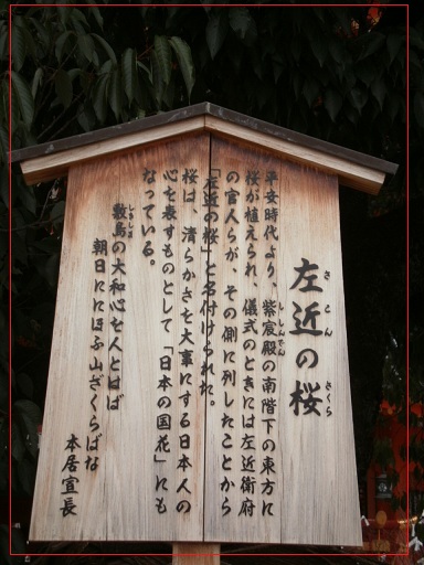平安神宮_e0108851_16344777.jpg