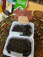 クワガタ販売中_f0207652_10153755.jpg