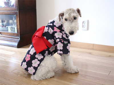 愛犬の浴衣の作り方 １００均手ぬぐい利用 No2背縫いから襟つけ編 ビーズ フェルト刺繍pienisieniの旧ブログ
