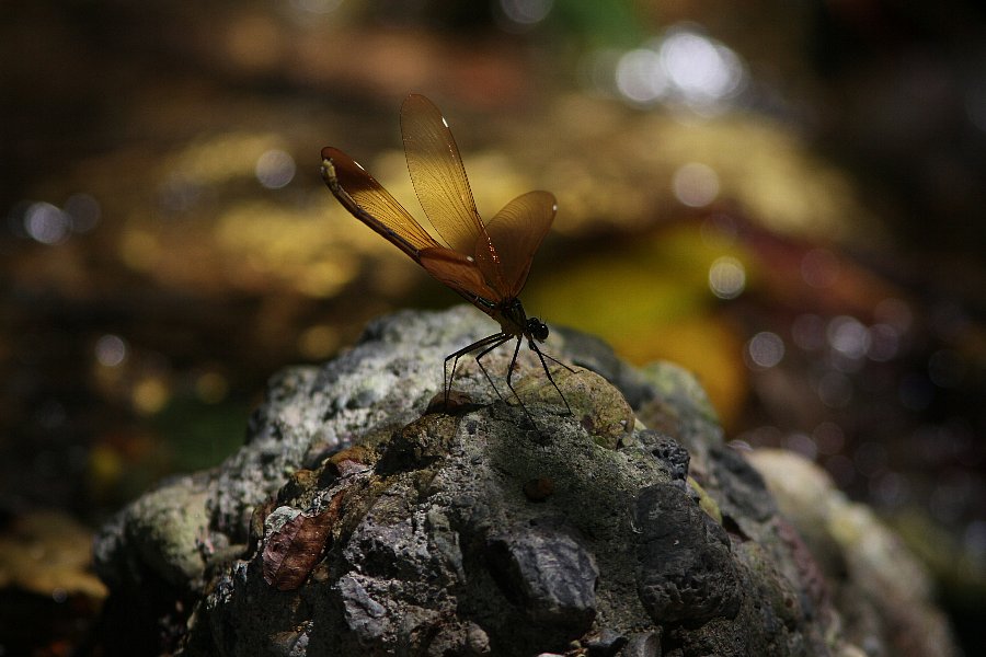 b0084270_142836.jpg