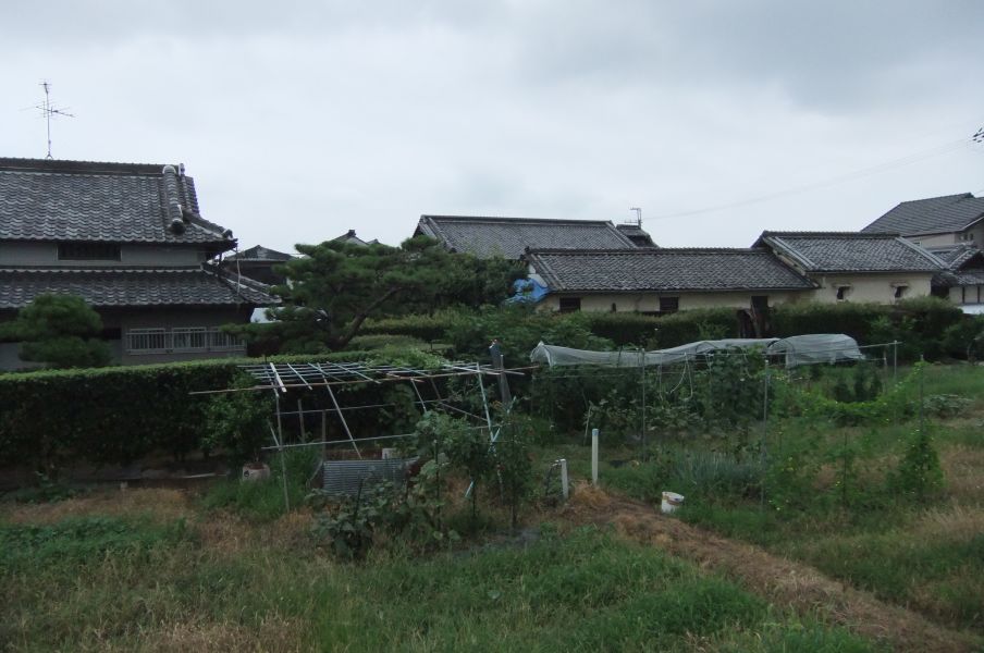 自転車にのって_c0037571_15342642.jpg