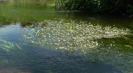 f0083977_15142359.jpg