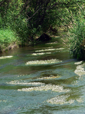 f0083977_1584358.jpg
