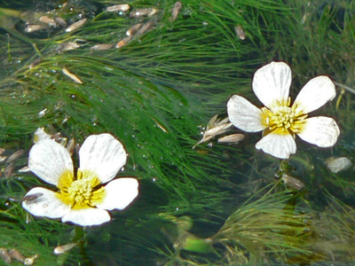 f0083977_1594269.jpg
