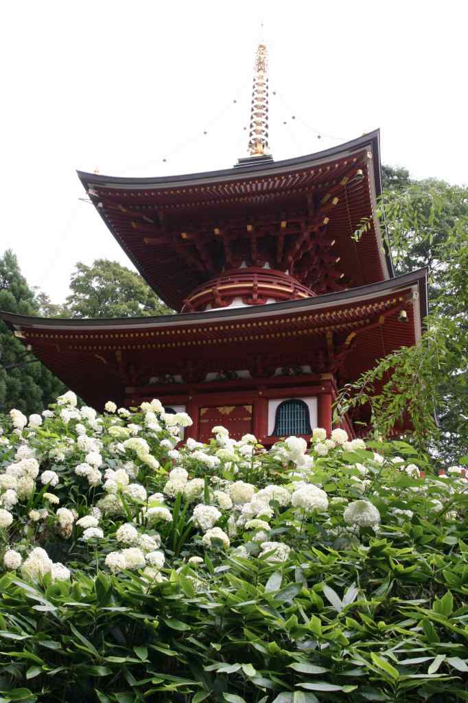 番外-勝尾寺　（07/06）_c0208389_1772743.jpg