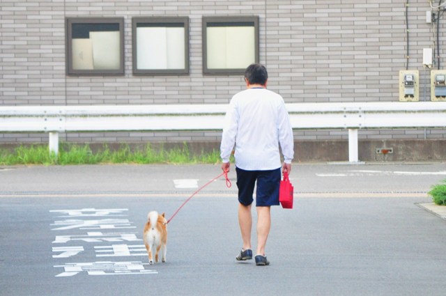 目覚ましかぼちゃん_a0126590_62252.jpg
