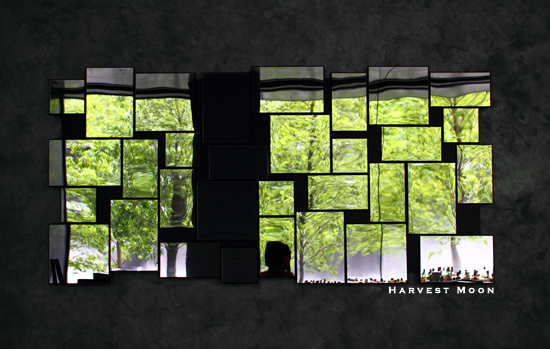 THE PATCHWORK of MIRROR_b0208495_23574167.jpg
