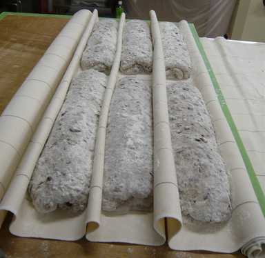 a0138500_833412.jpg