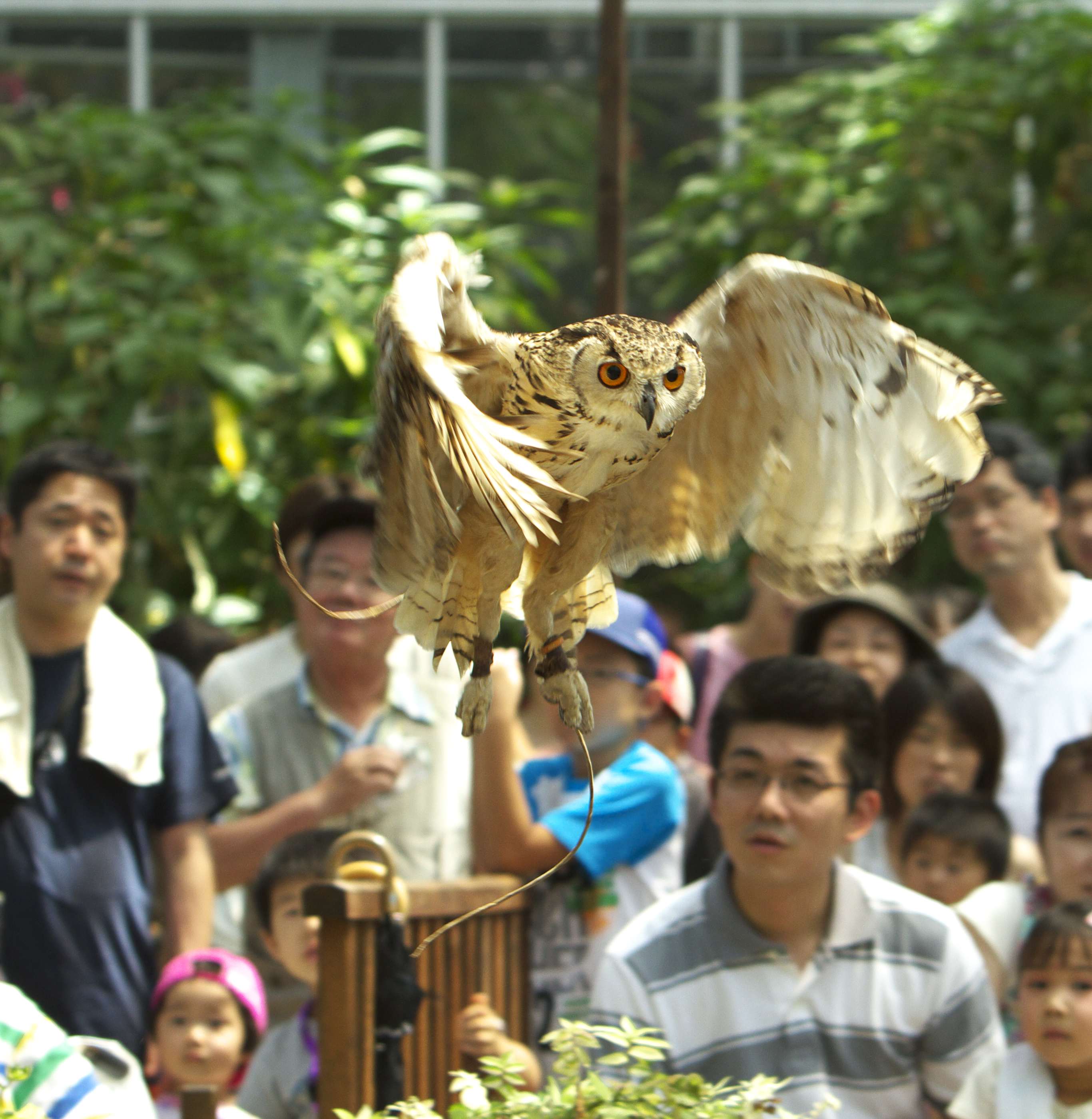 a0104501_2227339.jpg