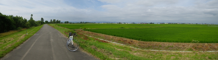 d0160307_21183670.jpg