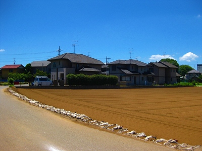 流山5時間走_a0036808_14183520.jpg