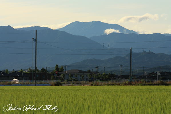 d0001008_96125.jpg