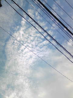 e0098908_2237460.jpg
