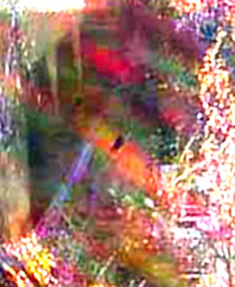 e0103408_16173827.jpg
