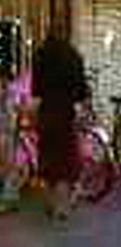 e0103408_16434111.jpg