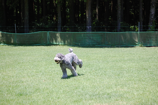 c0097309_20501352.jpg