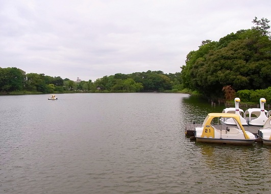 c0192215_815577.jpg