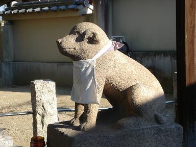 f0000521_874320.jpg
