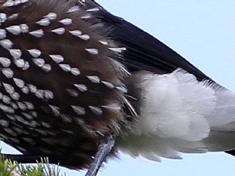 b0179023_20441798.jpg