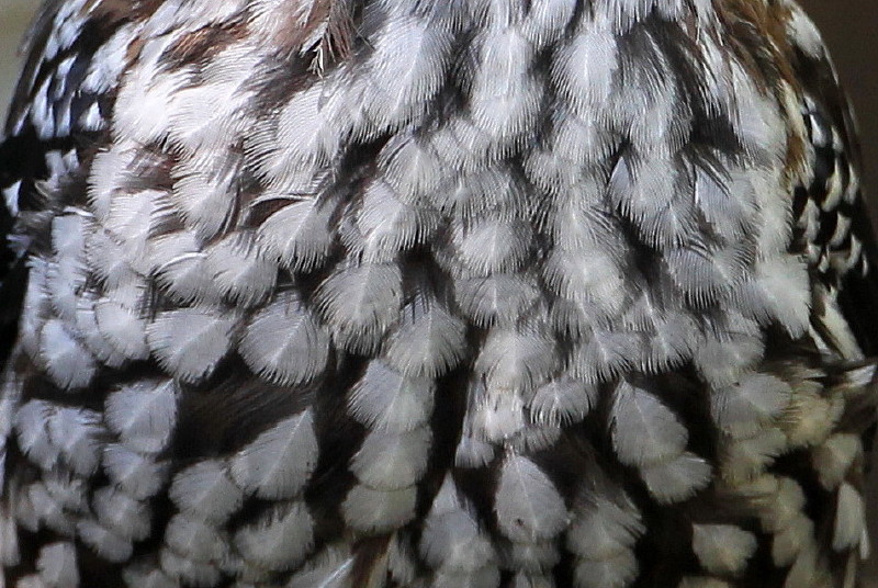 b0179023_2045999.jpg