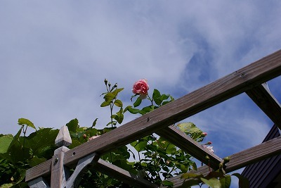 f0170524_15134893.jpg