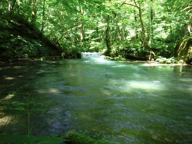 d0130927_17103651.jpg