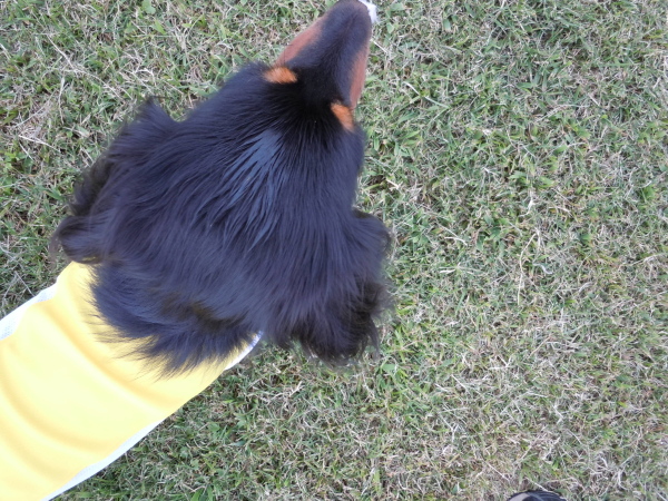 c0117831_2301833.jpg