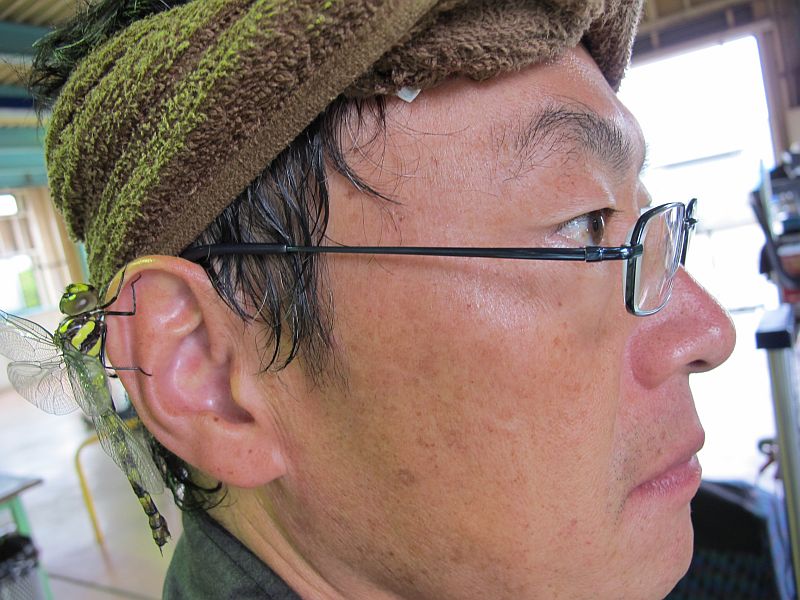 軽量化のススメ。インプレッサWRXスペックCとオニヤンマの羽化_f0076731_21251583.jpg