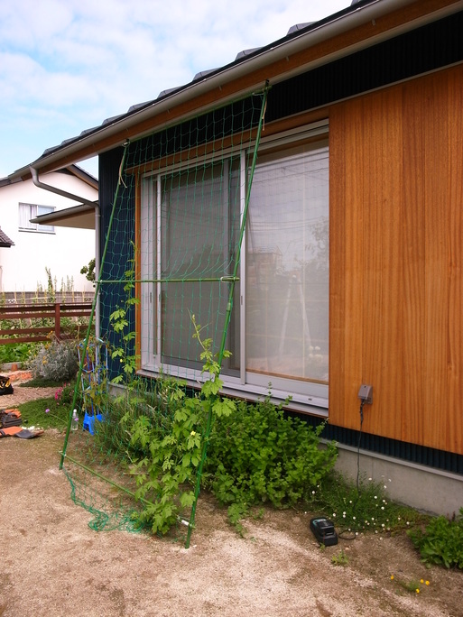 NKさんの家(2009) 2011/7/22_a0039934_1885454.jpg