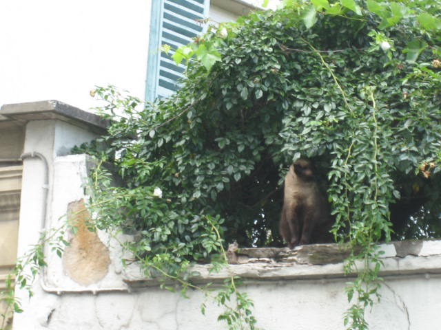 b0167334_22344656.jpg
