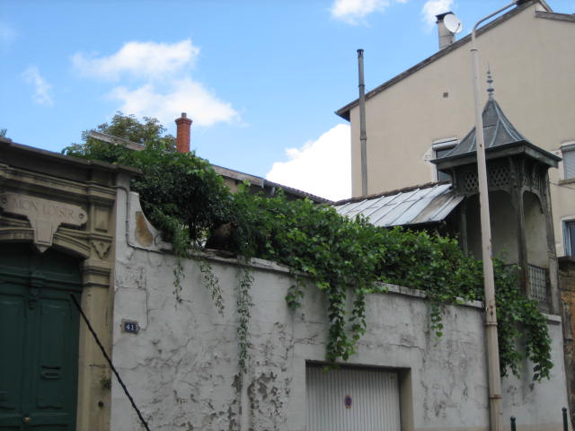 b0167334_22354012.jpg