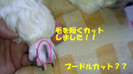 c0212637_1059551.jpg