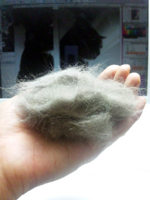 a0117440_205119100.jpg