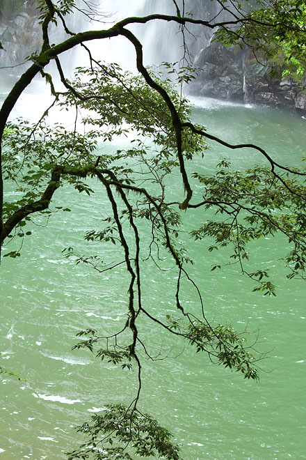 c0067040_2231556.jpg