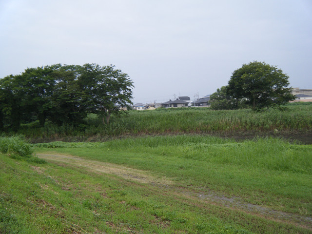 b0088444_2112076.jpg
